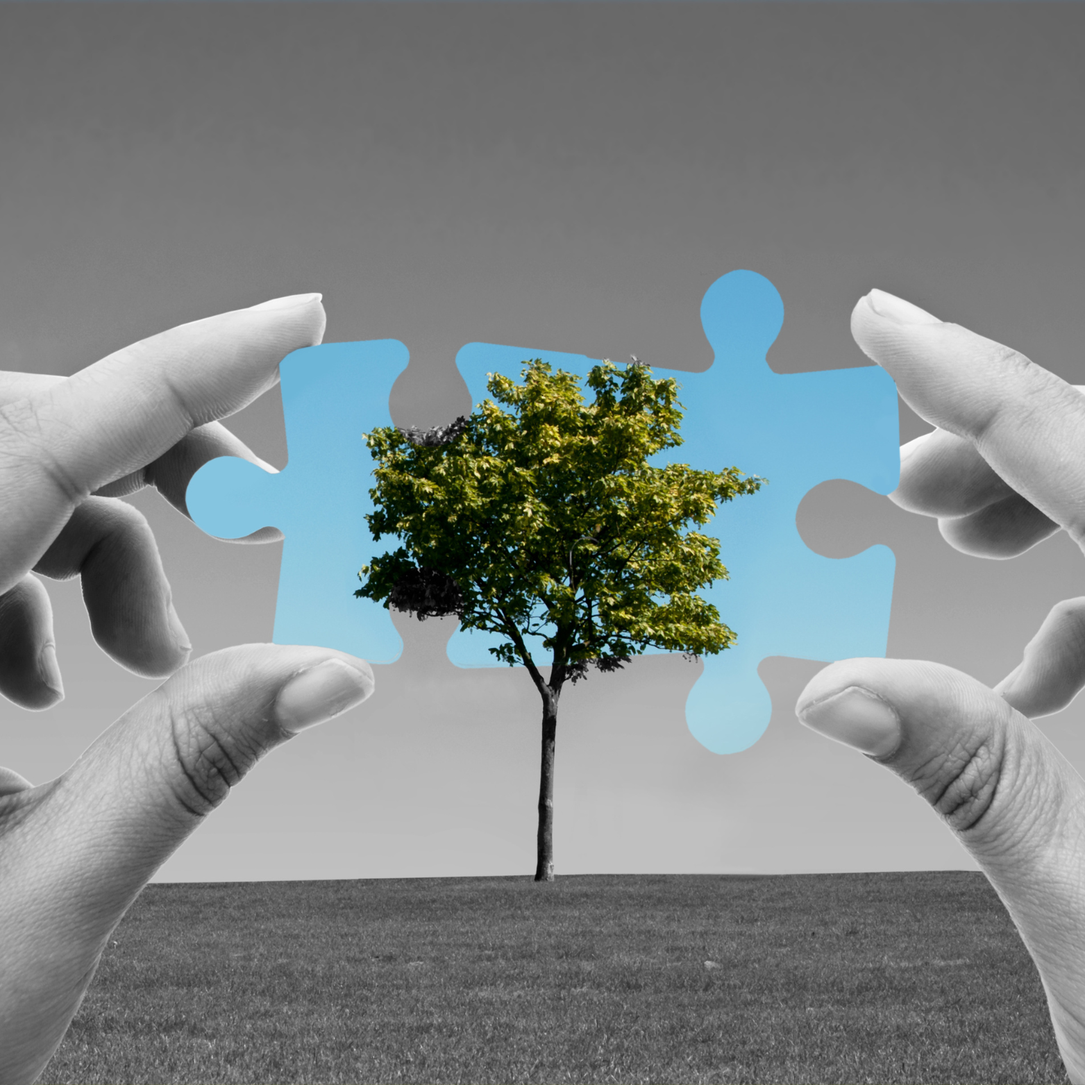 Imperion Marketing Sevilla